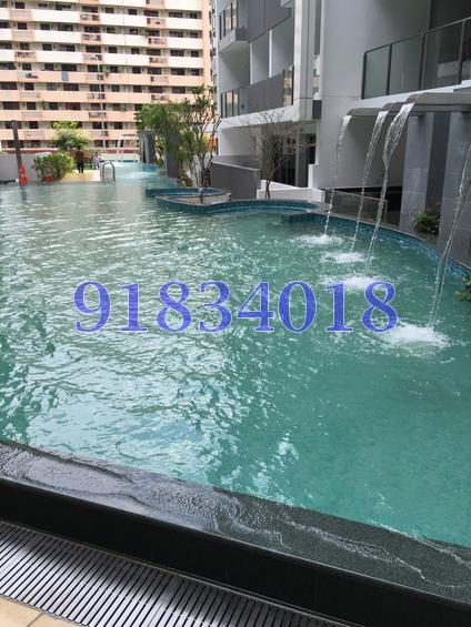 Eight Riversuites (D12), Condominium #110305552
